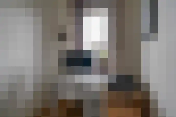 Burgemeester van der Voort van Zijplaan 63 Utrecht thumbnail 33
