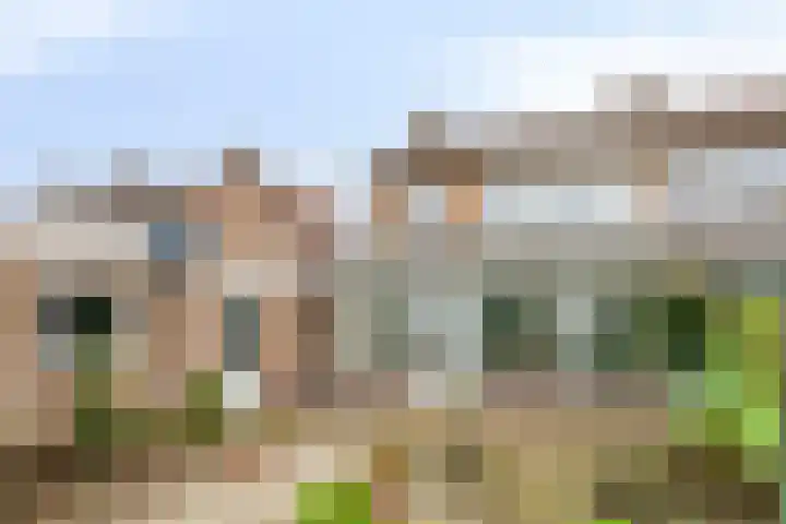 Burgemeester van der Weidenlaan 35 Beek en Donk foto 2