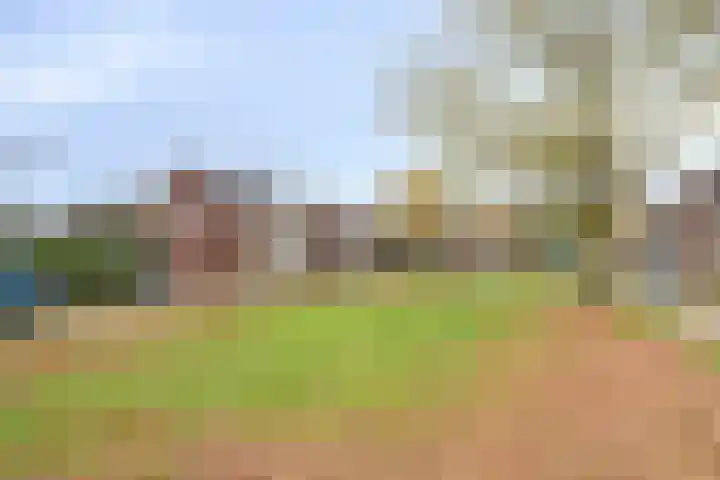 Burgemeester van der Weidenlaan 35 Beek en Donk thumbnail 31