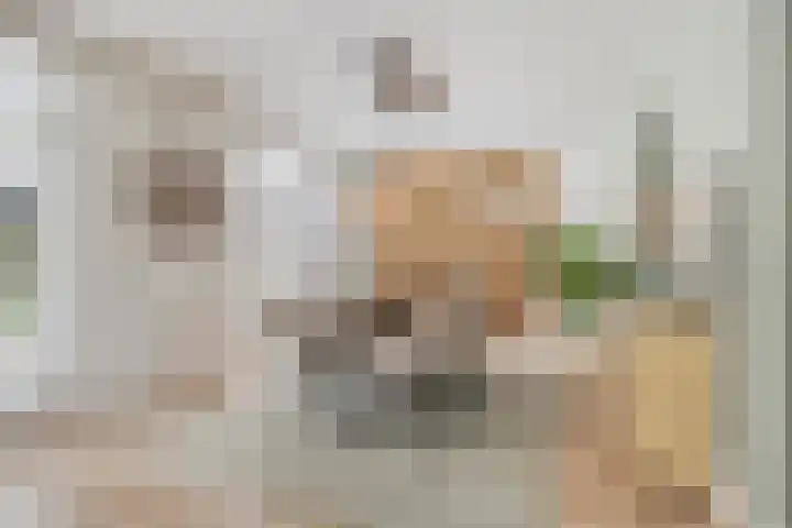 Burgemeester van der Weidenlaan 60 Beek en Donk thumbnail 12