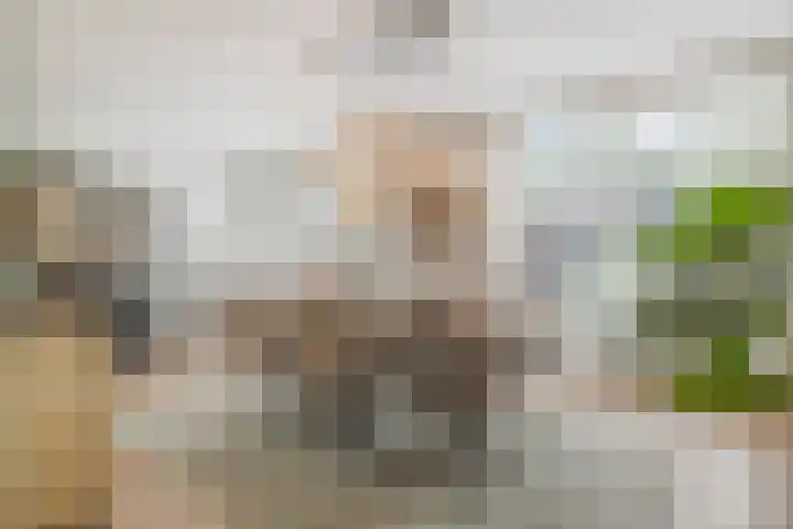 Burgemeester van der Weidenlaan 60 Beek en Donk thumbnail 13
