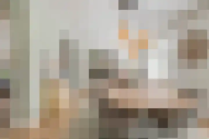 Burgemeester van der Weidenlaan 60 Beek en Donk thumbnail 14