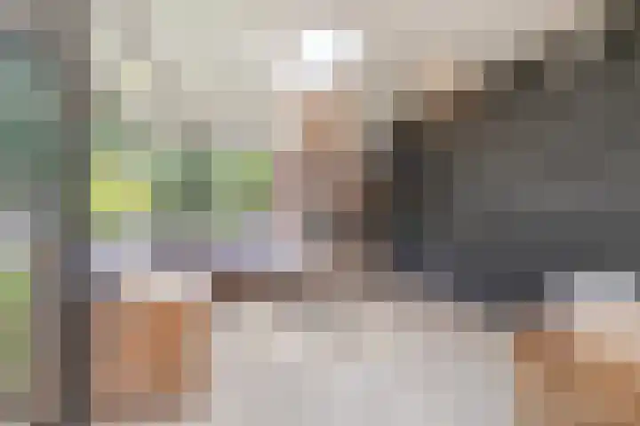 Burgemeester van der Weidenlaan 60 Beek en Donk thumbnail 25