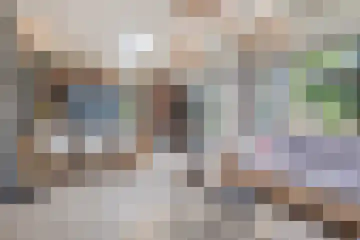 Burgemeester van der Weidenlaan 60 Beek en Donk thumbnail 26