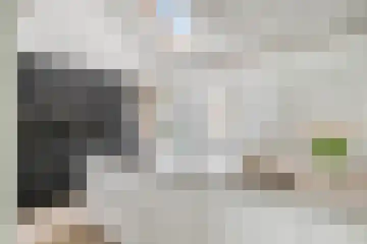 Burgemeester van der Weidenlaan 60 Beek en Donk thumbnail 4