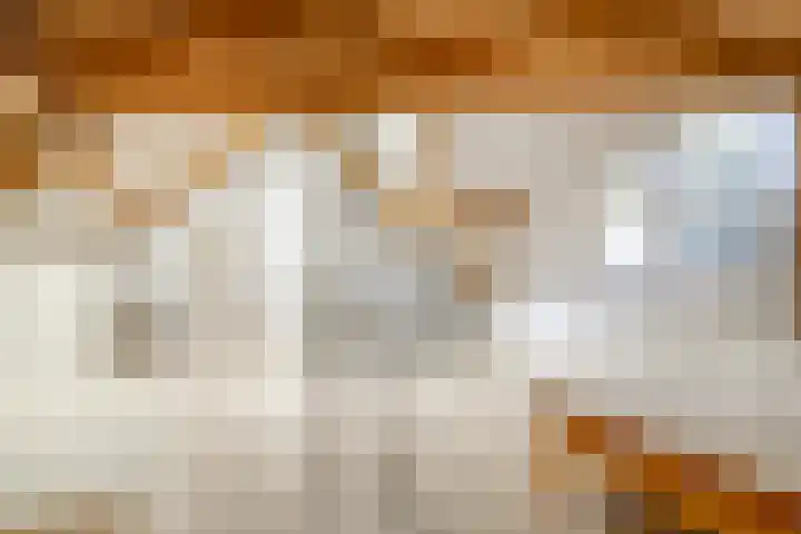 Burgemeester van der Weidenlaan 60 Beek en Donk thumbnail 41