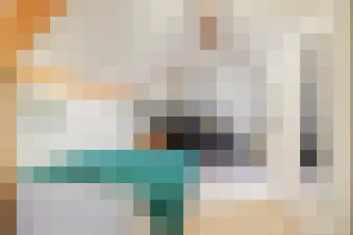 Burgemeester van der Weidenlaan 60 Beek en Donk thumbnail 43