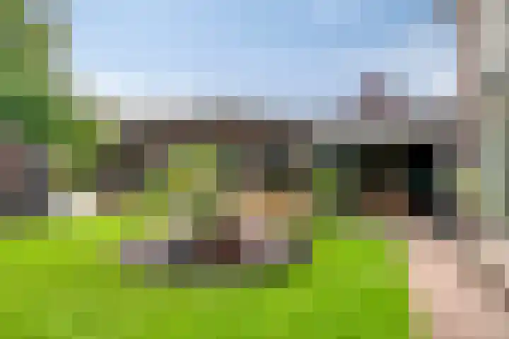 Burgemeester van der Weidenlaan 60 Beek en Donk thumbnail 45