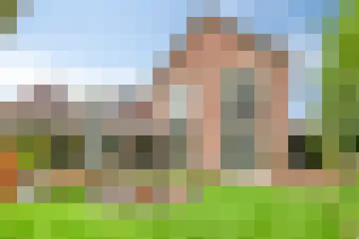 Burgemeester van der Weidenlaan 60 Beek en Donk thumbnail 46