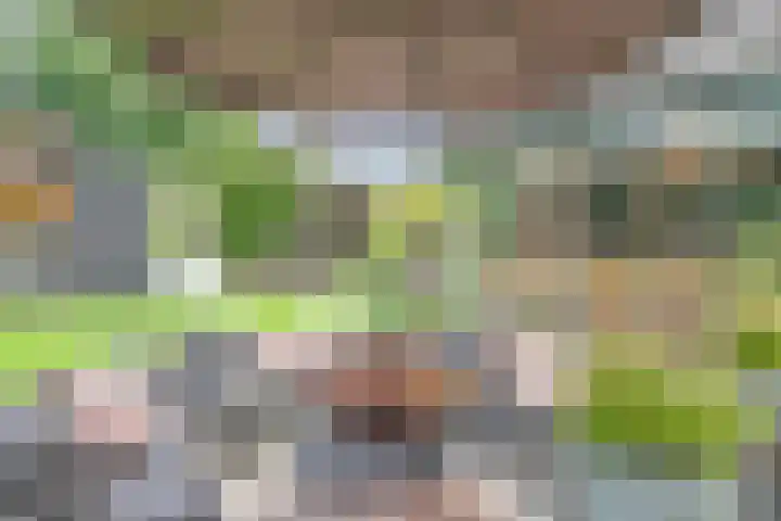 Burgemeester van der Weidenlaan 60 Beek en Donk thumbnail 48