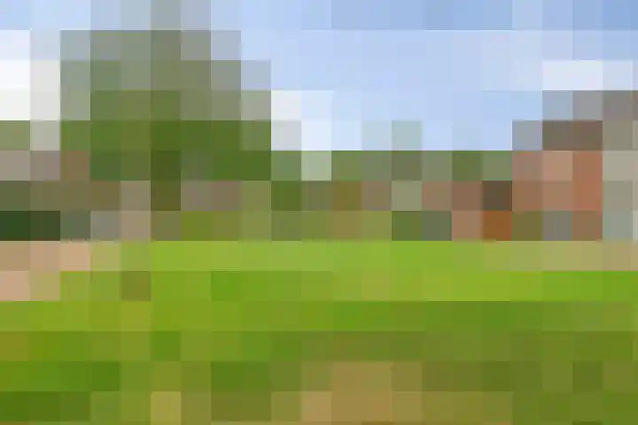Burgemeester van der Weidenlaan 60 Beek en Donk thumbnail 5