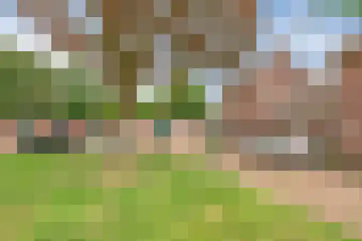 Burgemeester van der Weidenlaan 60 Beek en Donk thumbnail 6