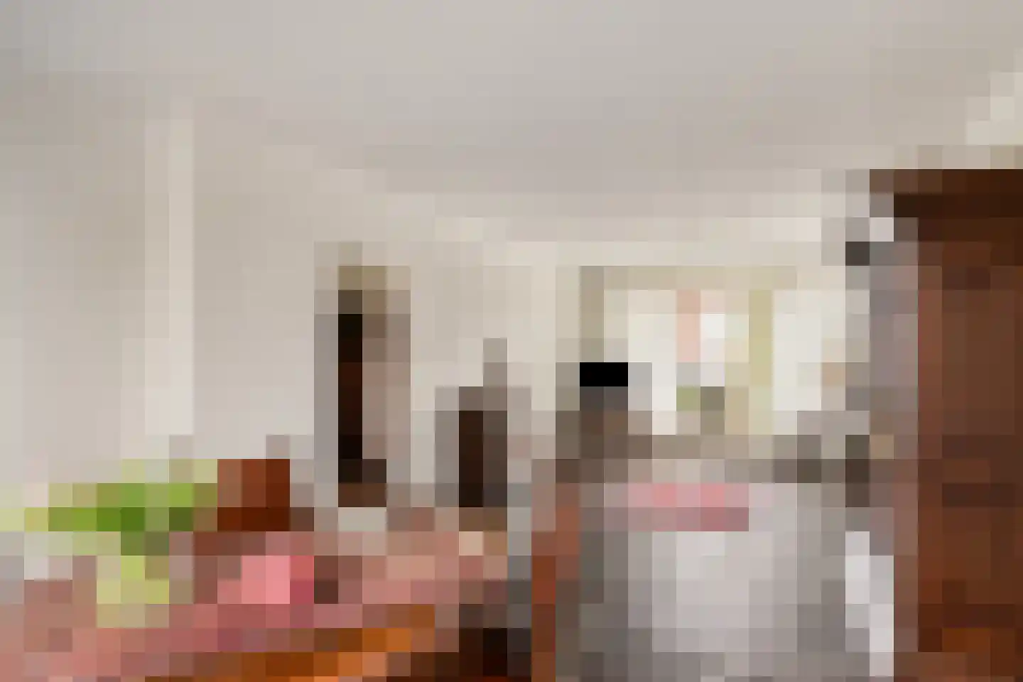 Burgemeester van der Weidenlaan 63 Beek en Donk thumbnail 10