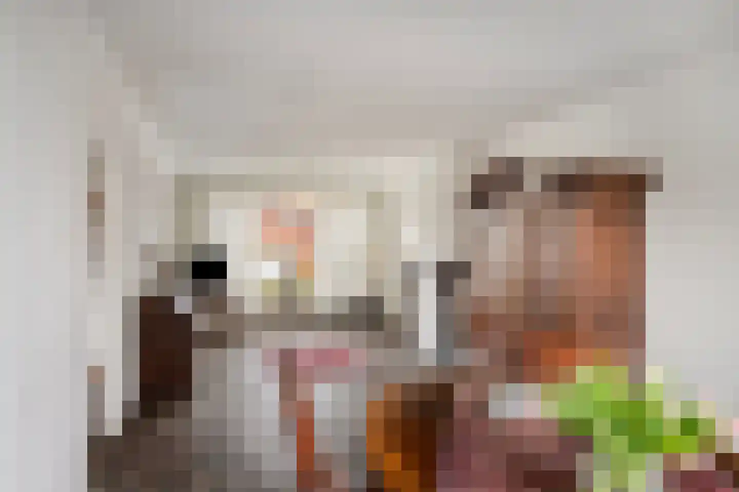 Burgemeester van der Weidenlaan 63 Beek en Donk thumbnail 8