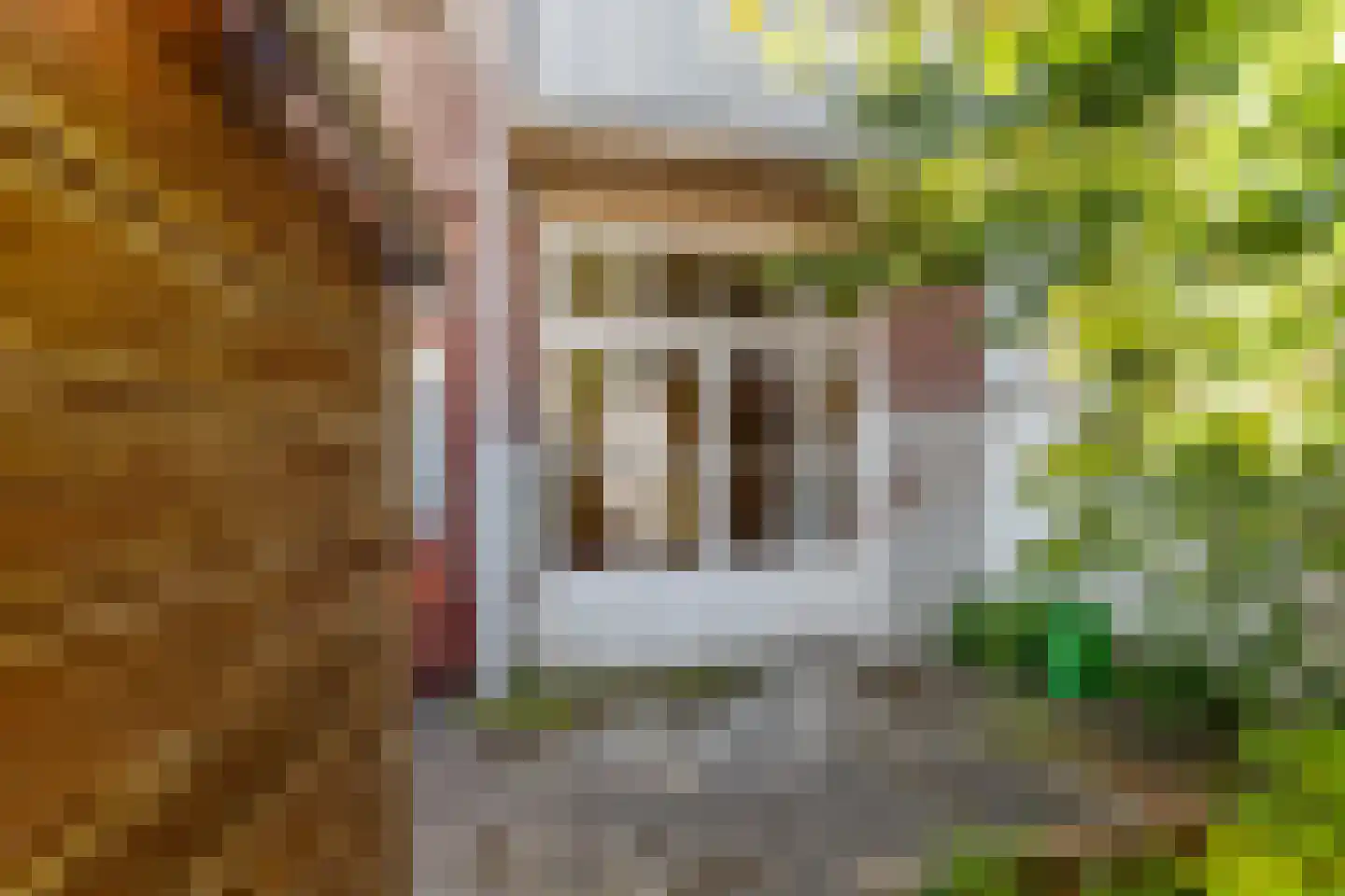 Burgemeester van der Werffstraat 117 Den Haag thumbnail 21