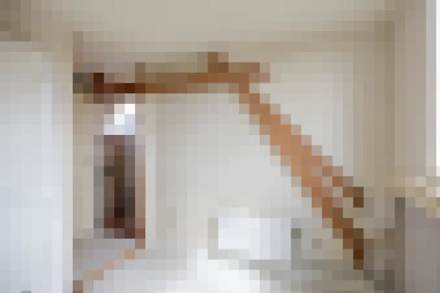 Burgemeester van der Willigenstraat 18 Lekkerkerk thumbnail 21