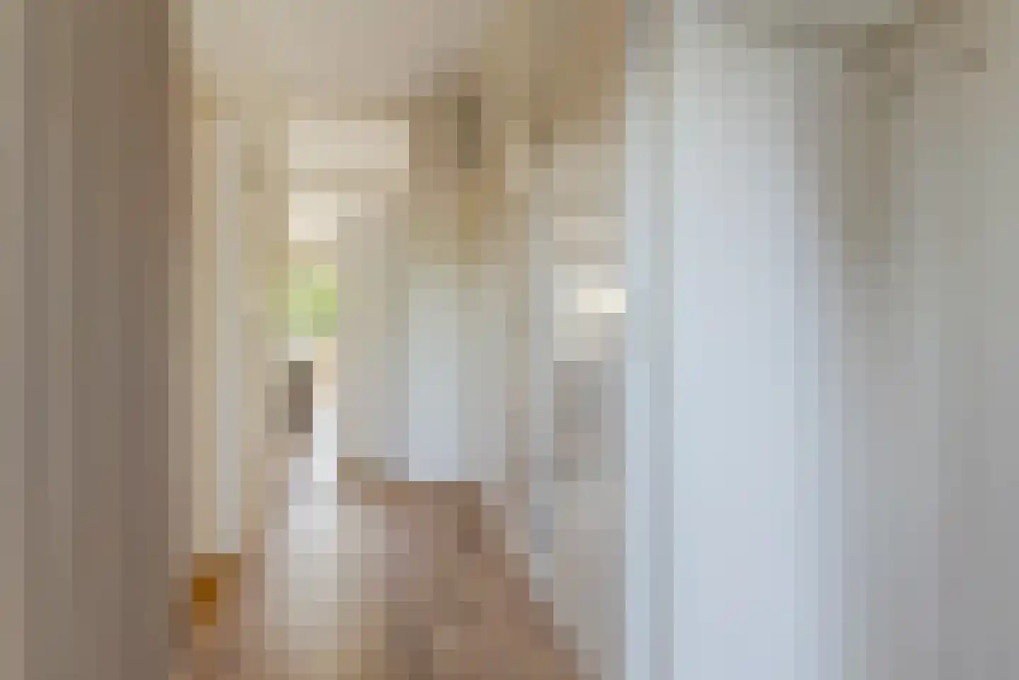Burgemeester van der Zandestraat 12 Varsseveld thumbnail 9
