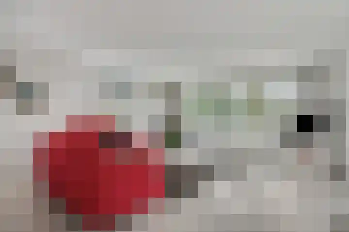 Burgemeester van Dijkeplein 10 Ede thumbnail 6