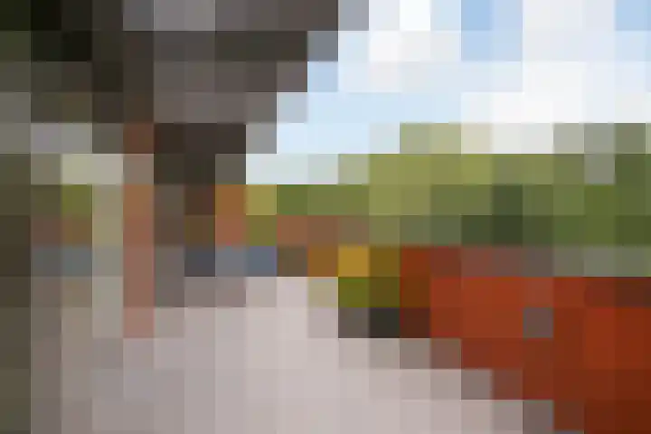 Burgemeester van Dijkeplein 104 Ede thumbnail 22