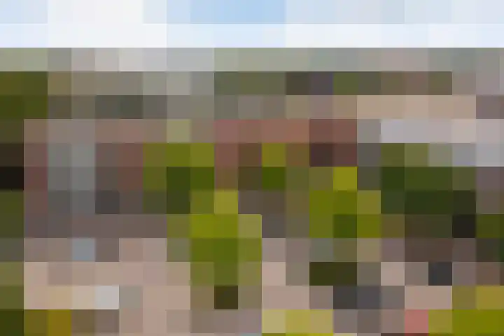 Burgemeester van Dijkeplein 104 Ede thumbnail 27