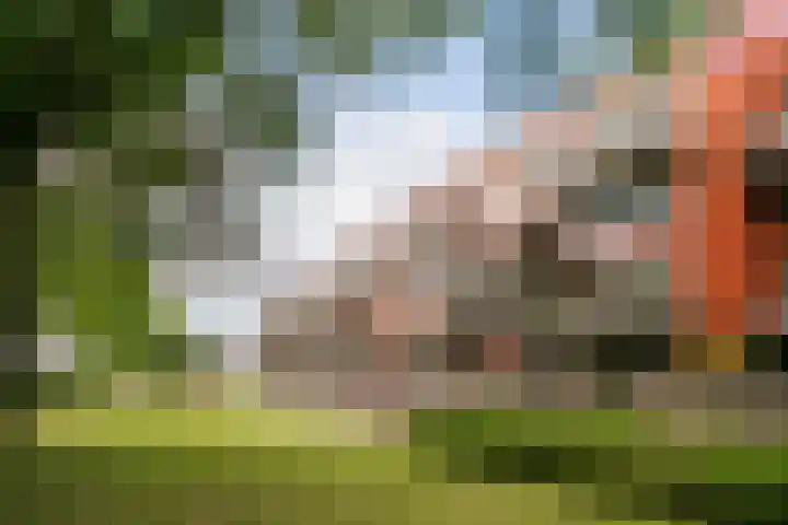 Burgemeester van Dijkeplein 104 Ede thumbnail 28