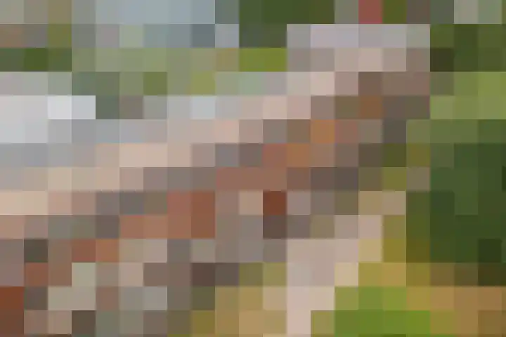 Burgemeester van Dijkeplein 104 Ede thumbnail 29