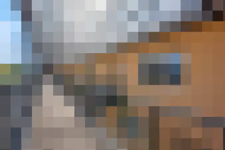 Burgemeester van Dijkeplein 110 Ede thumbnail 31
