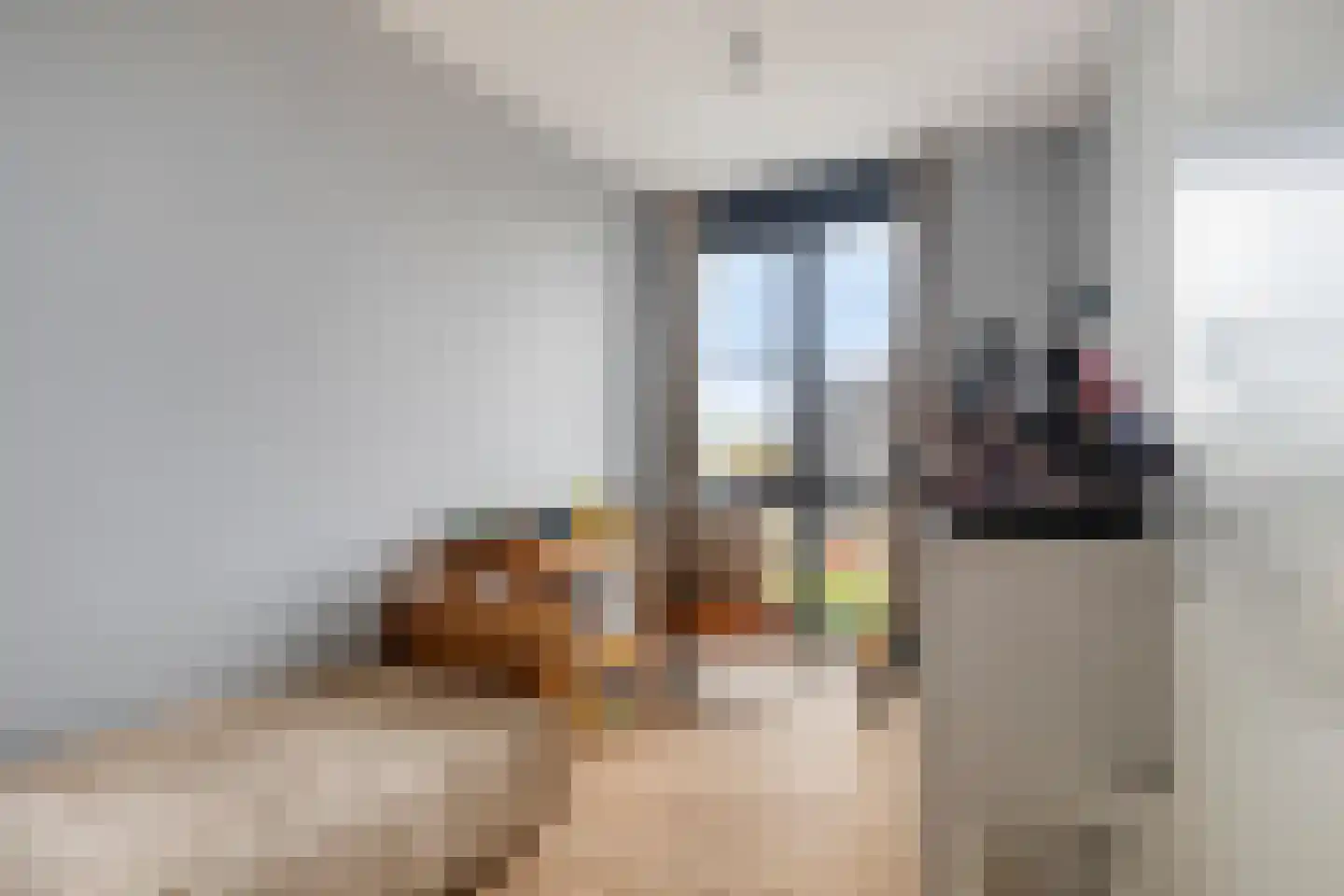 Burgemeester van Dijkesingel 208 h Gouda thumbnail 21