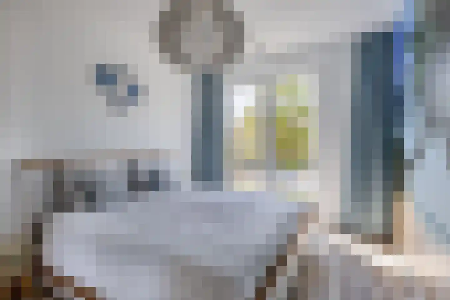 Burgemeester van Dijkesingel 76 Gouda thumbnail 18
