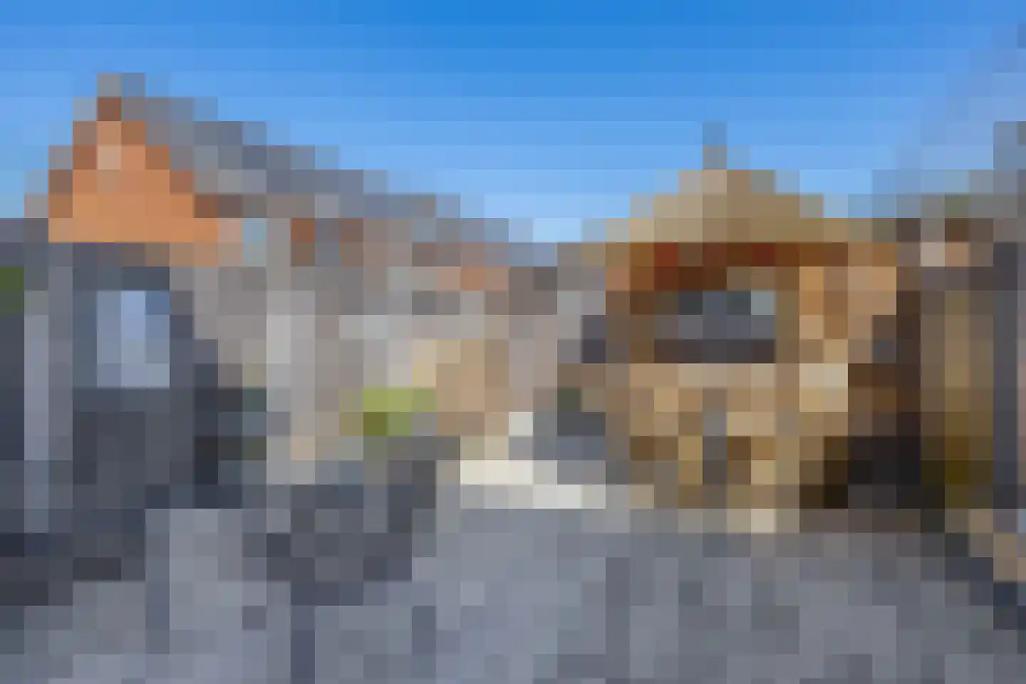 Burgemeester van Dijkesingel 76 Gouda thumbnail 4