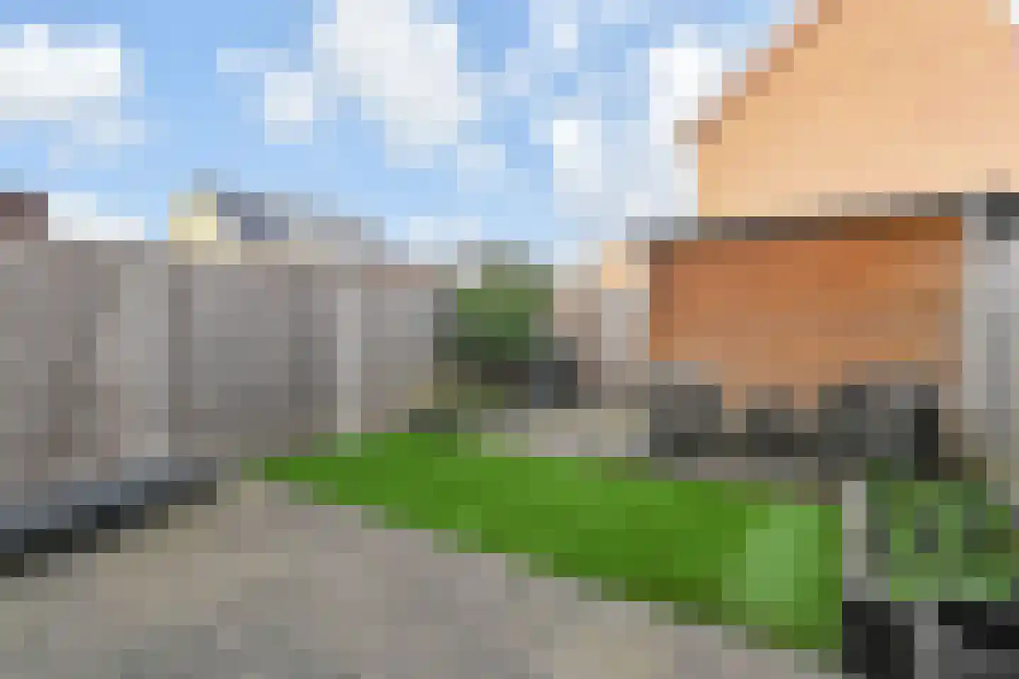 Burgemeester van Dijkesingel 90 Gouda thumbnail 11