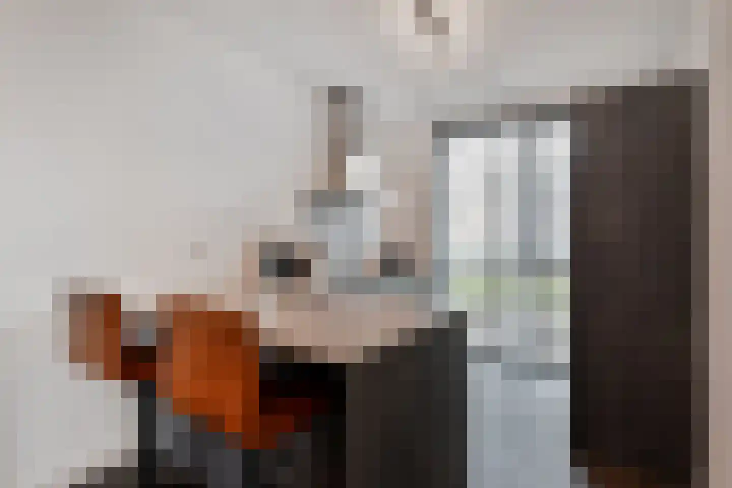 Burgemeester van Dijkesingel 90 Gouda thumbnail 4