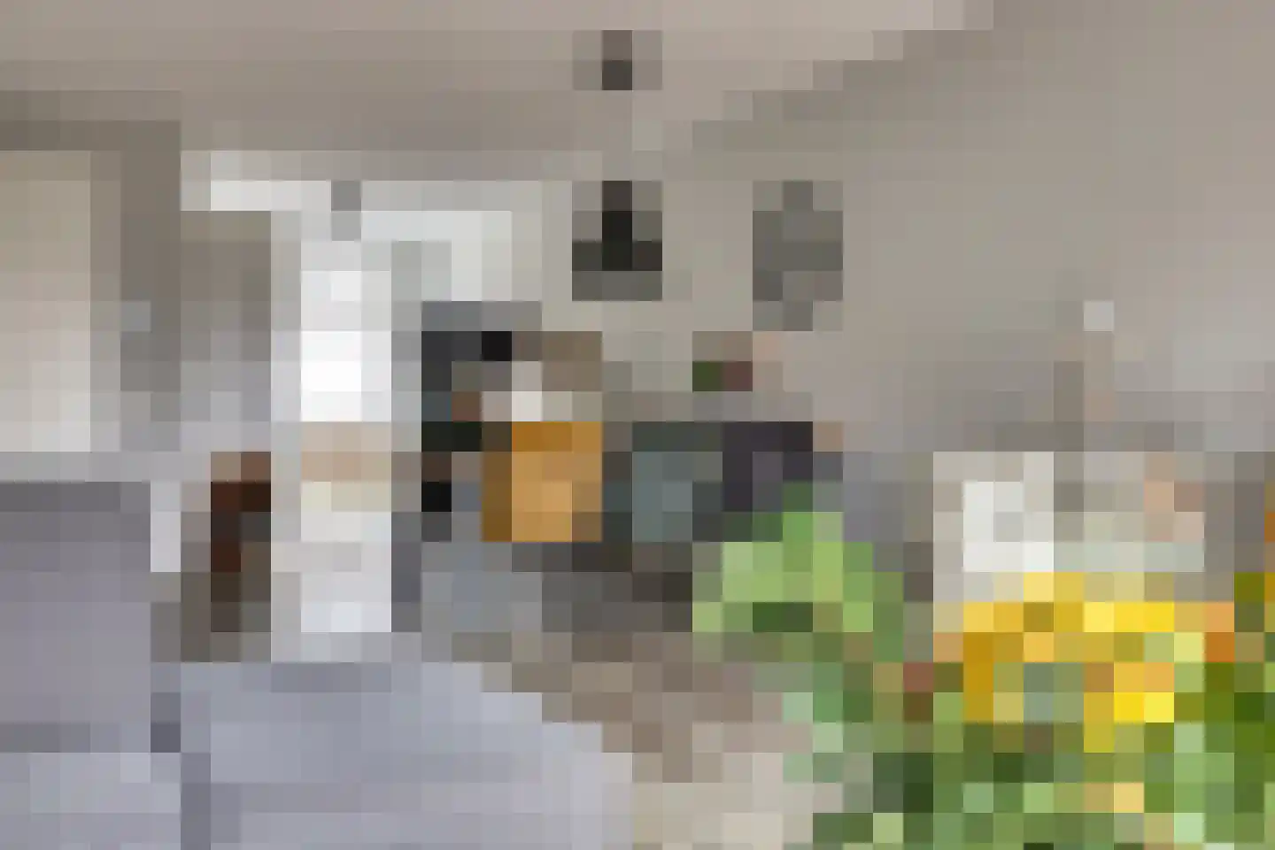 Burgemeester van Dijkesingel 94 Gouda thumbnail 12