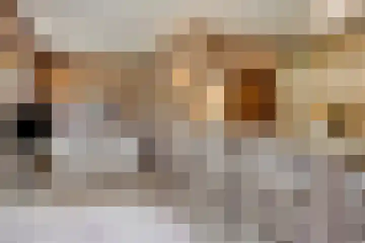 Burgemeester van Dommelenlaan 15 Waalre thumbnail 18