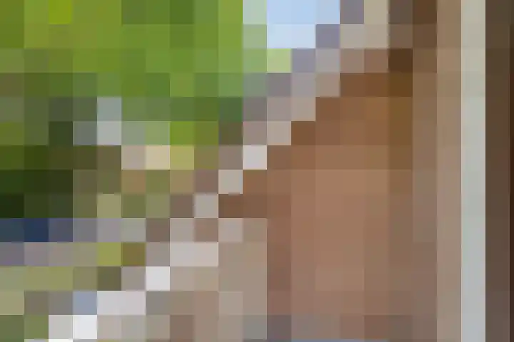 Burgemeester van Dommelenlaan 15 Waalre thumbnail 27