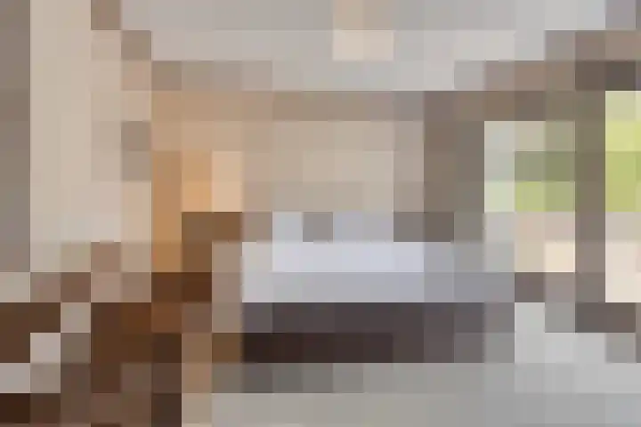 Burgemeester van Dommelenlaan 15 Waalre thumbnail 31