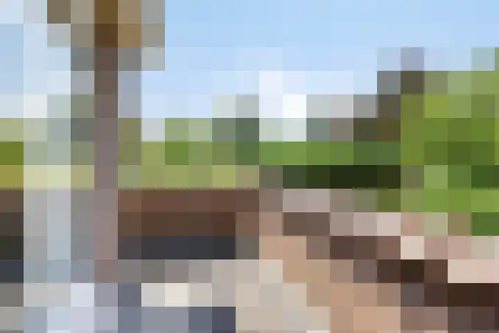 Burgemeester van Dommelenlaan 15 Waalre thumbnail 32