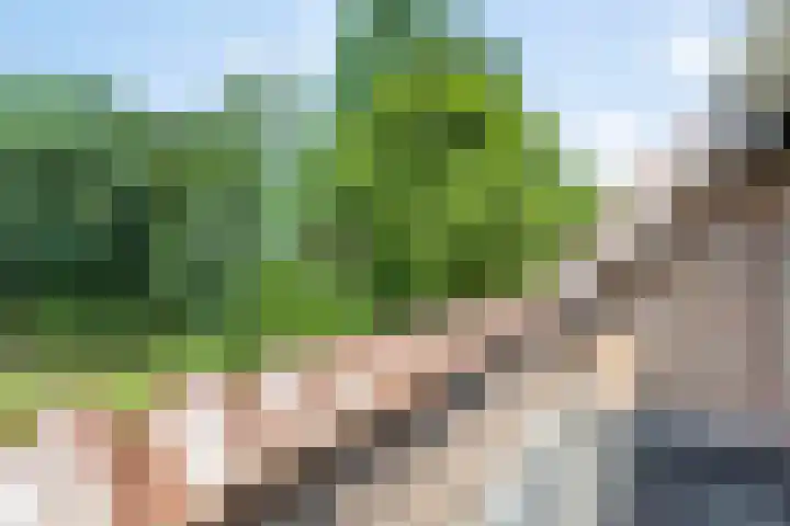Burgemeester van Dommelenlaan 15 Waalre thumbnail 33