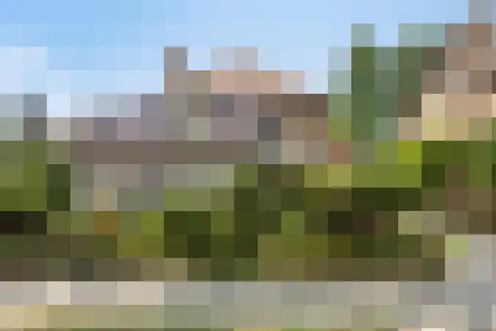Burgemeester van Dommelenlaan 15 Waalre thumbnail 6