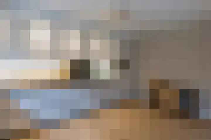 Burgemeester van Dommelenlaan 17 Waalre thumbnail 10