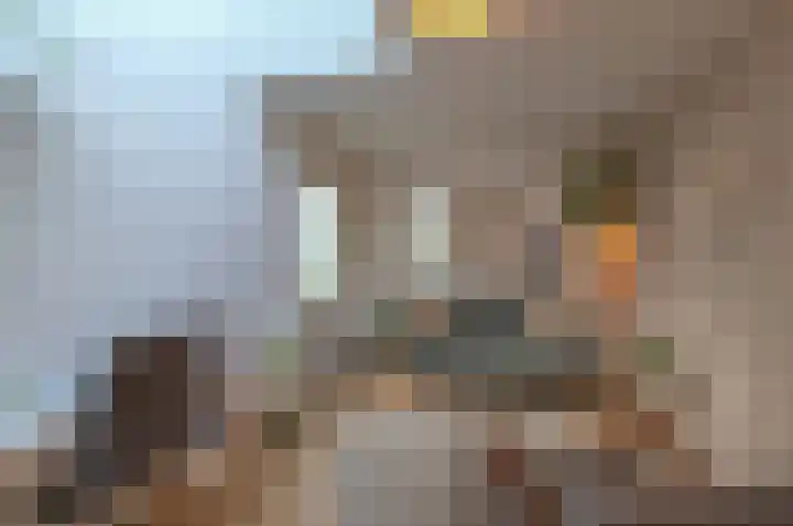 Burgemeester van Dommelenlaan 17 Waalre thumbnail 14