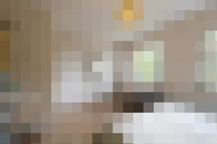 Burgemeester van Dommelenlaan 17 Waalre thumbnail 19