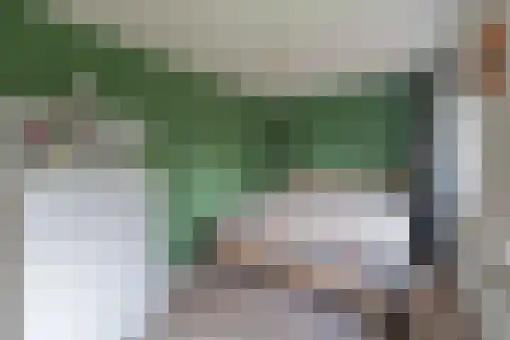Burgemeester van Dommelenlaan 17 Waalre thumbnail 20