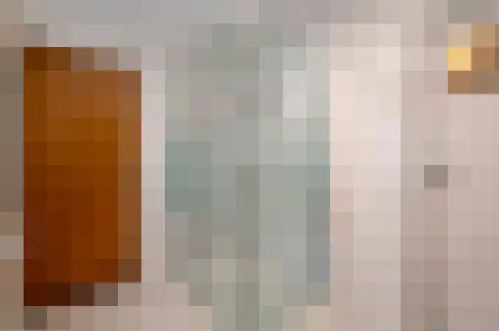 Burgemeester van Dommelenlaan 17 Waalre thumbnail 25