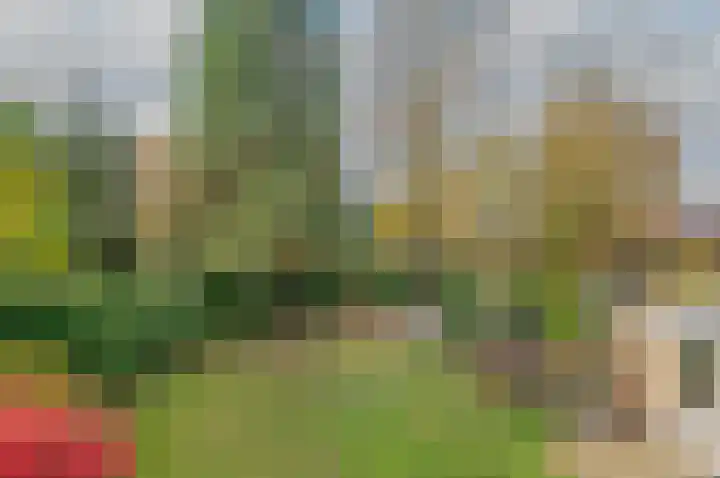 Burgemeester van Dommelenlaan 17 Waalre thumbnail 31