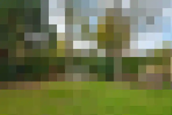 Burgemeester van Dommelenlaan 17 Waalre thumbnail 33