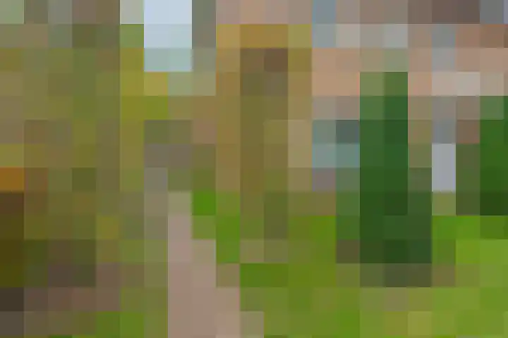 Burgemeester van Dommelenlaan 17 Waalre thumbnail 36