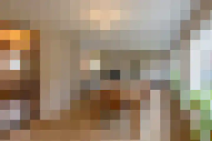 Burgemeester van Dommelenlaan 17 Waalre thumbnail 5