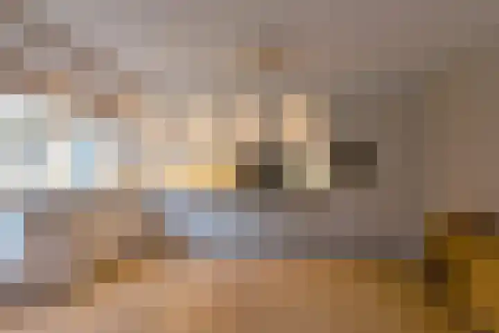 Burgemeester van Dommelenlaan 17 Waalre thumbnail 9