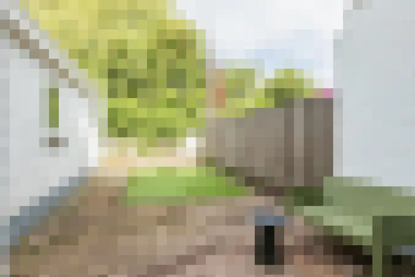 Burgemeester van Dommelenlaan 39 Waalre thumbnail 25